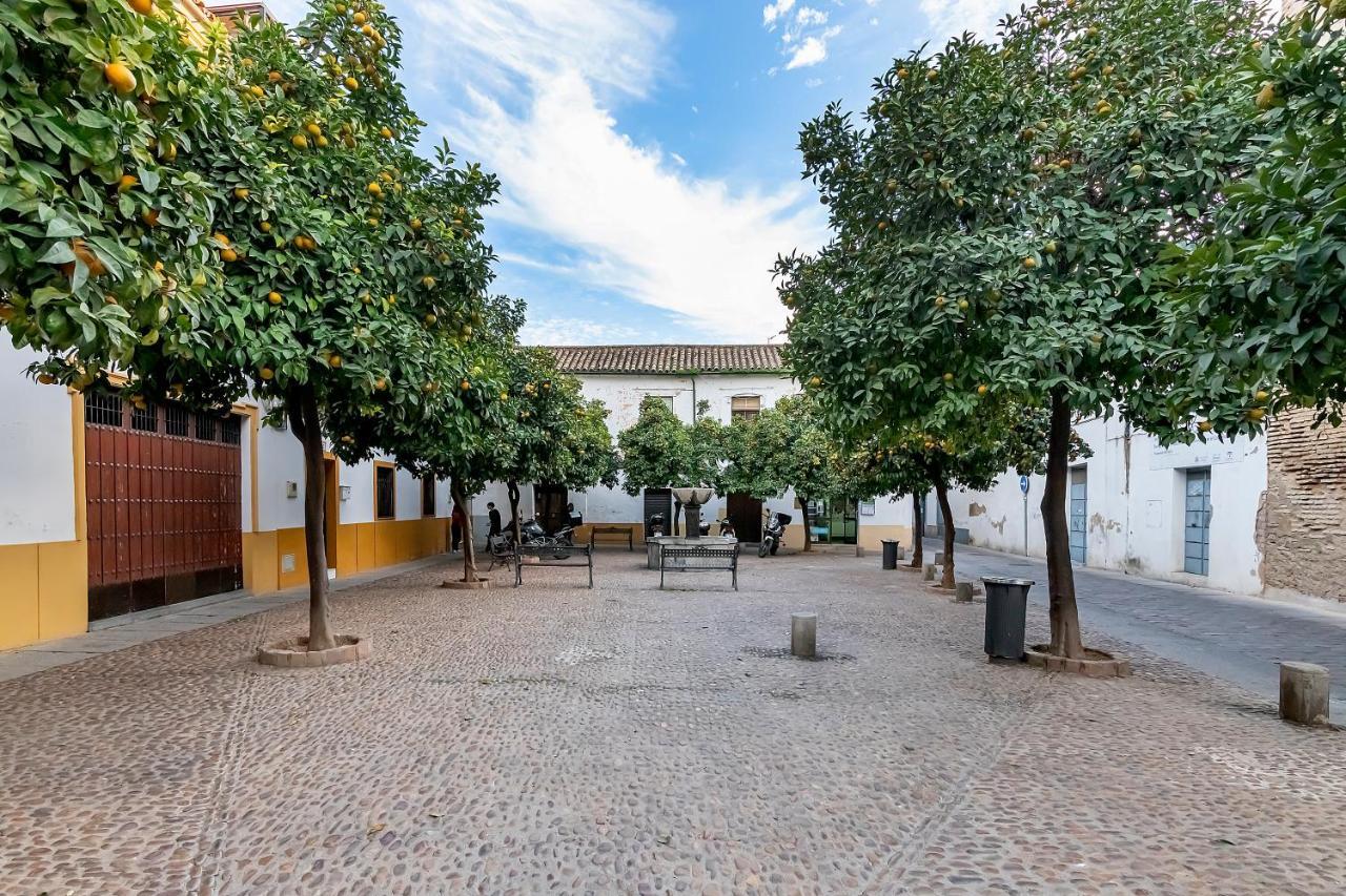 Bhost - Regina Córdoba Exterior foto